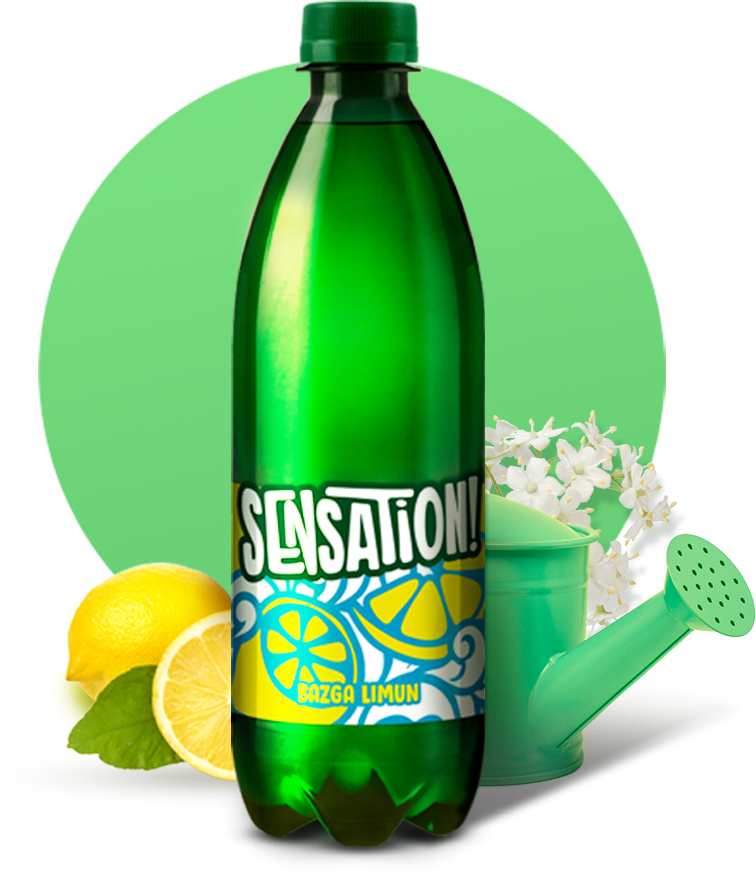Sensation | Sensation